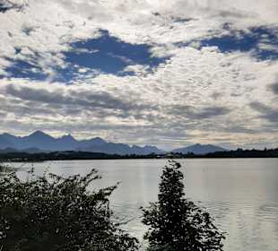 Forggensee