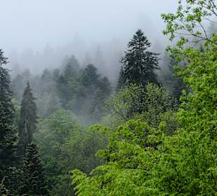 Wandern Wilhelmshöhe