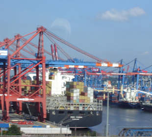 Hamburg - Auge in Auge mit den Giganten