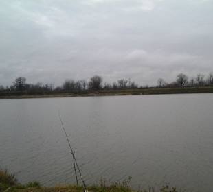 December morning silence 