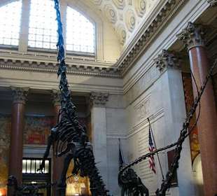 Museo de Historia Natural