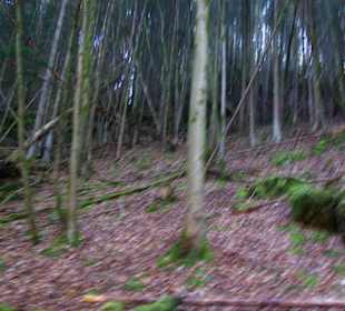 Wanderweg Pottenstein