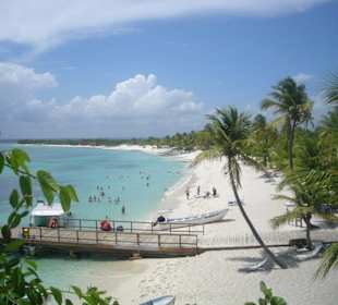 Strand Catalina von oben