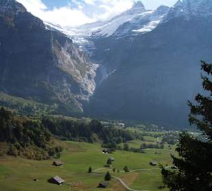 Blick auf das Dorf Grindelwald 