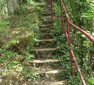 Wallersteiner Felsen