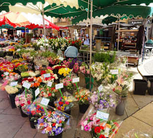 Eindrücke vom Blumenmarkt in Aix-en-Provence