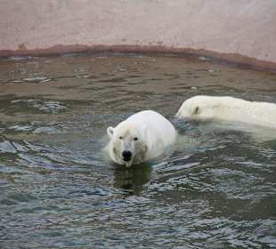 Zoo