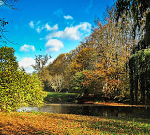 Парк Замка Ойтин. Золотая осень.
