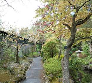 Jardin japonés