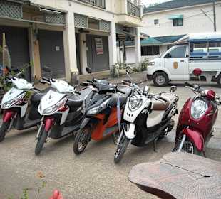 Der Mopedpark des Chickenhouse