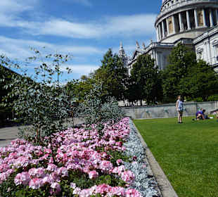 St. Pauls Cathedral