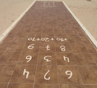 Shuffleboard