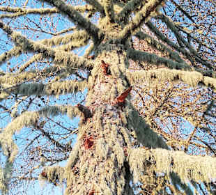 Wandern Hochrindl/Sirnitz