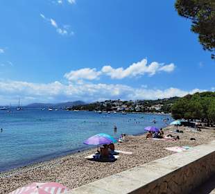 Strand Alcudia 