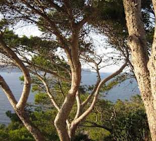 Blick auf Kap Formentor