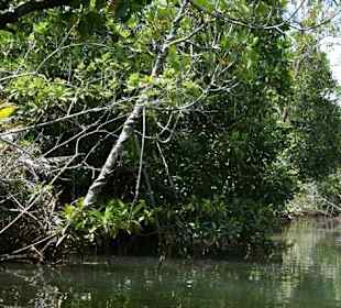 Ausflug zur Clipper Bay