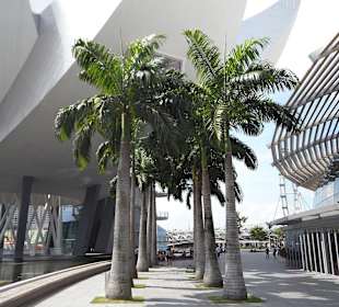 Blick vom Park hinter Hotel...