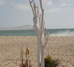 Bahia beach