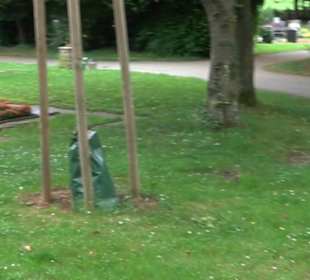 Friedhof Derendingen