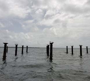 Ein ehemaliger Bootssteg...