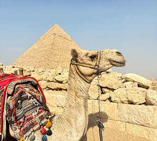 Kamelreiten zum Aussichtspunkt