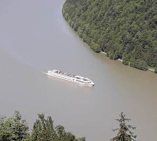 Blick vom Aussichtspunkt auf die Donauschlinge.
