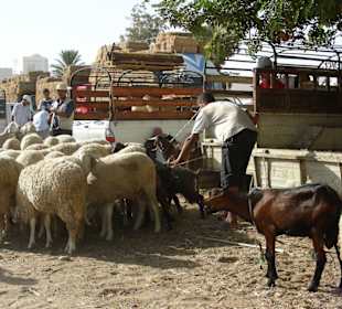 Mittwochsmarkt in Zarzis