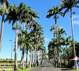 Blick in die Allee Dumanoir