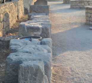 Kultur liegt so nahe