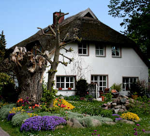 Haus in Groß Zicker