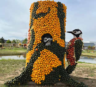 Krewelshof  Kürbisschau 2022 (Wundersame Waldwesen