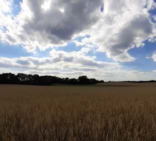 Stadtrundfahrt Moritzburg