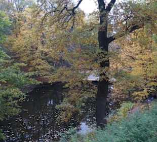 Parkanlage Planten un Blomen