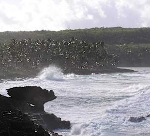 Steilküste bei Las Galeras