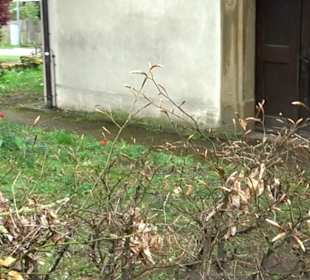 Wallfahrtskapelle zum Heiligsten Herzen Jesu Jagst