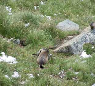 Grossglockner Hochalpenstrasse