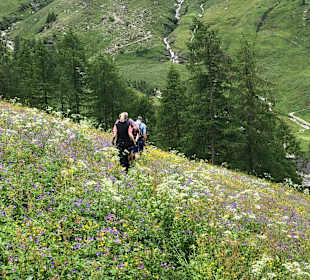 Wandern Moso in Passiria / Moos in Passeier