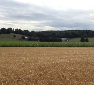 Tour entlang der Traifelbergfelsen