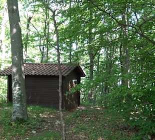 Premiumwanderweg "hochgelegen"