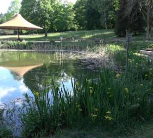 Kurpark Bad Niedernau