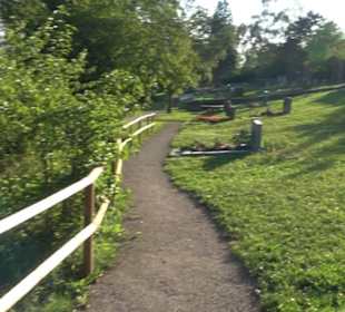 Friedhof Hirschau
