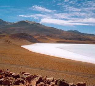 Salar Salinas Blancas