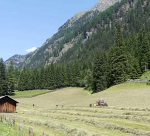 Panoramastraße am Beginn