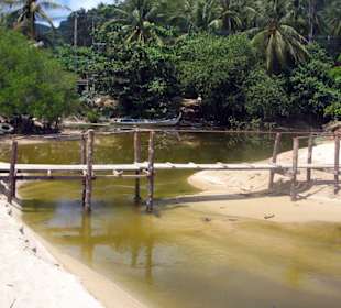 Zufluß von Schmutzwasser