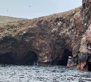 Ausflug Ballestas Inseln