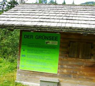 Info zum Grünsee