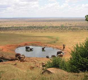 am Wasserloch der Logde