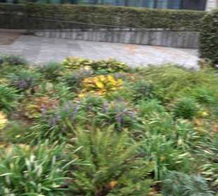 Museum Berggruen