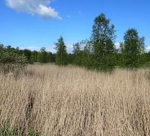 Eindrücke vom Rundweg um den Bederkesaer See 