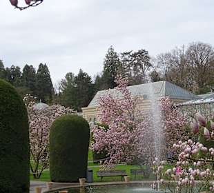 Wilhelma Stuttgart